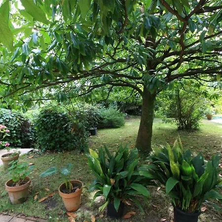 El Berdial Villa *