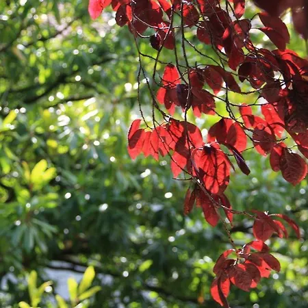 El Berdial Willa San Esteban de Pravia